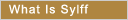 What Is Sylff