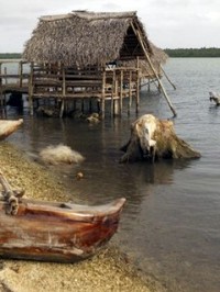 Traditional Tongan architecture using natural materials.