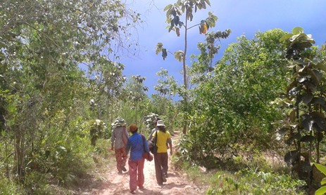 Forest Patrol Walking: A group of 16 rural villagers and representatives from the Forestry Administration patrol an area that was designated as a community forest in the land reform to check for illegal land clearing.  